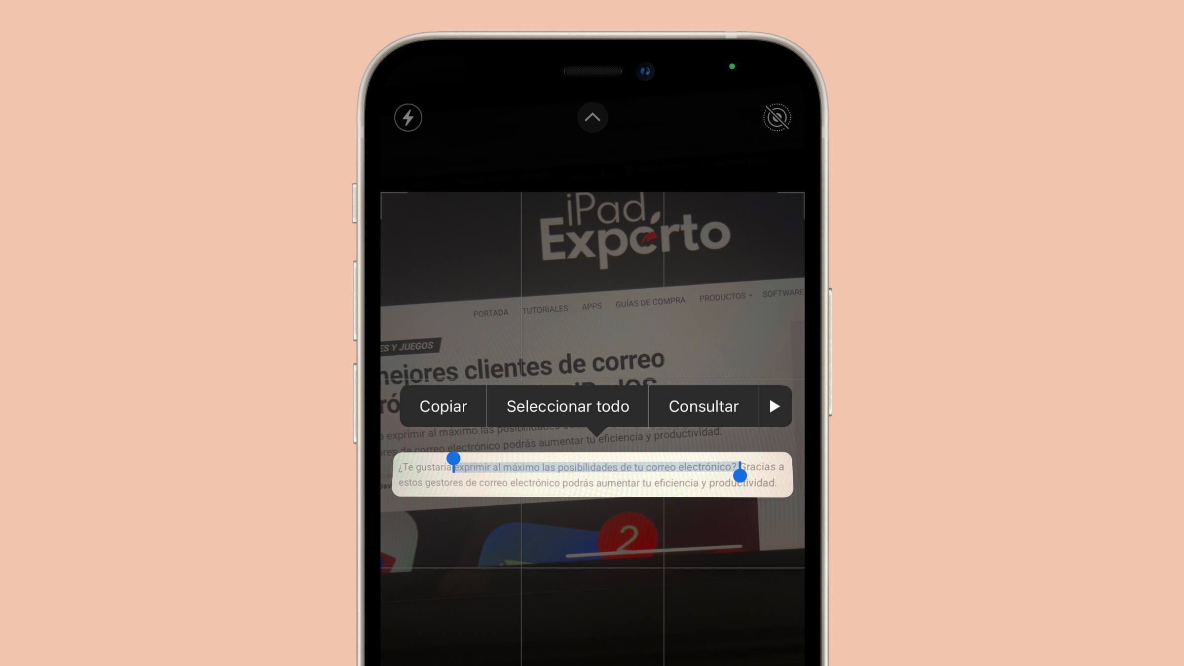Escanear texto con la cámara del iPhone
