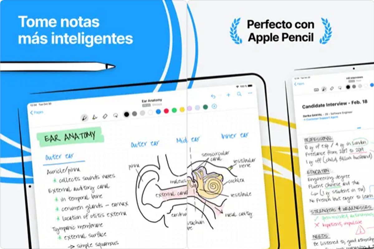 Nebo: app para tomar notas más inteligentes